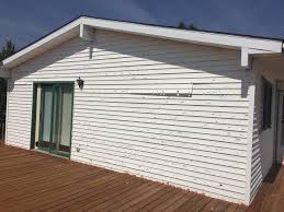 Best Custom Trim and Detailing for Siding  in Eagle Grove, IA